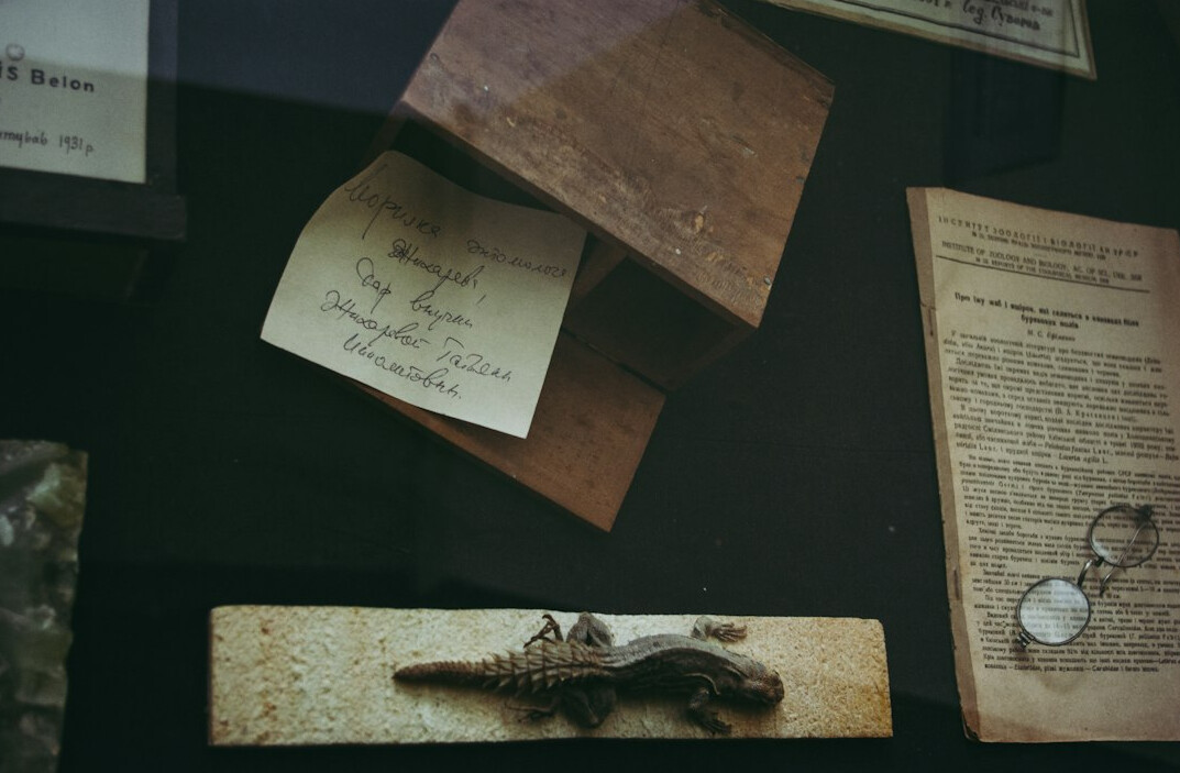 Hands examining old documents and a magnifying glass on a wooden desk
