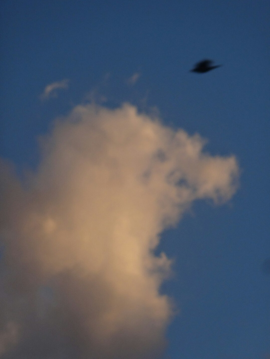 ufo sighting at night