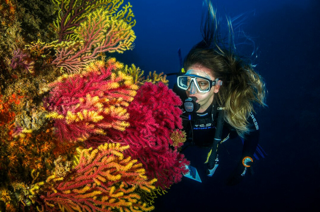 underwater diver exploring