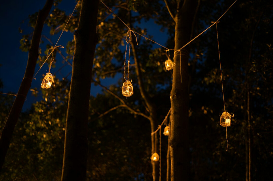 floating light in forest